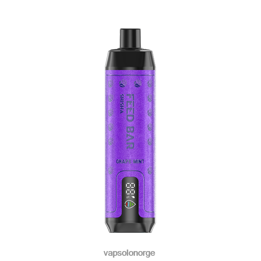 VapSolo Nikotin - VapSolo SHISHA engangs vape D6D2ZT6 druemynte