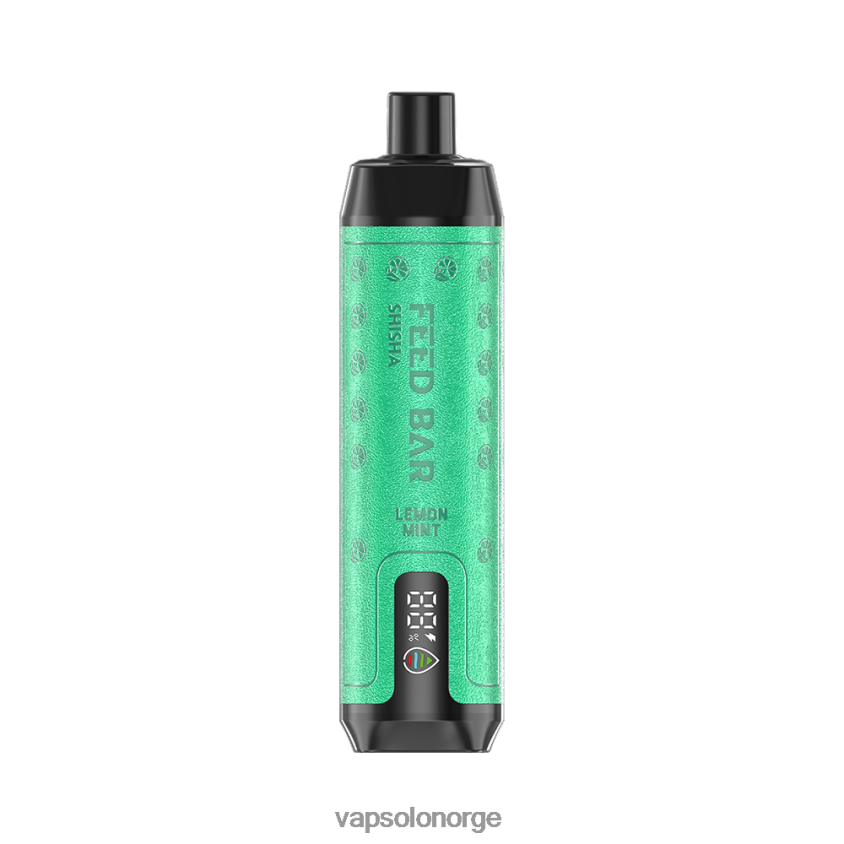 VapSolo Norge - VapSolo SHISHA engangs vape D6D2ZT7 sitron mynte