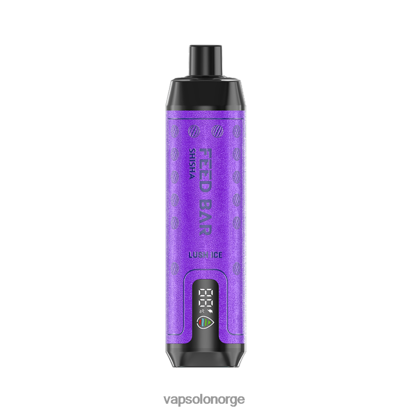 VapSolo Oslo - VapSolo SHISHA engangs vape D6D2ZT8 frodig is