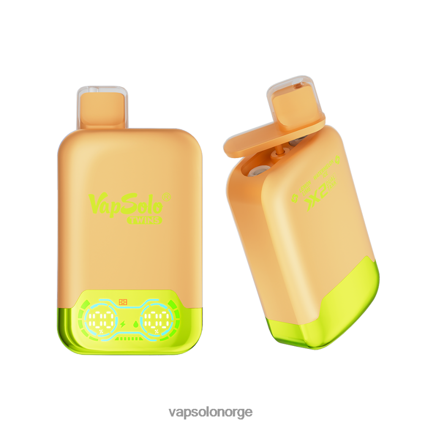 VapSolo Oslo - VapSolo TWINS engangs vape D6D2ZT29 sitron lime & vannmelon is