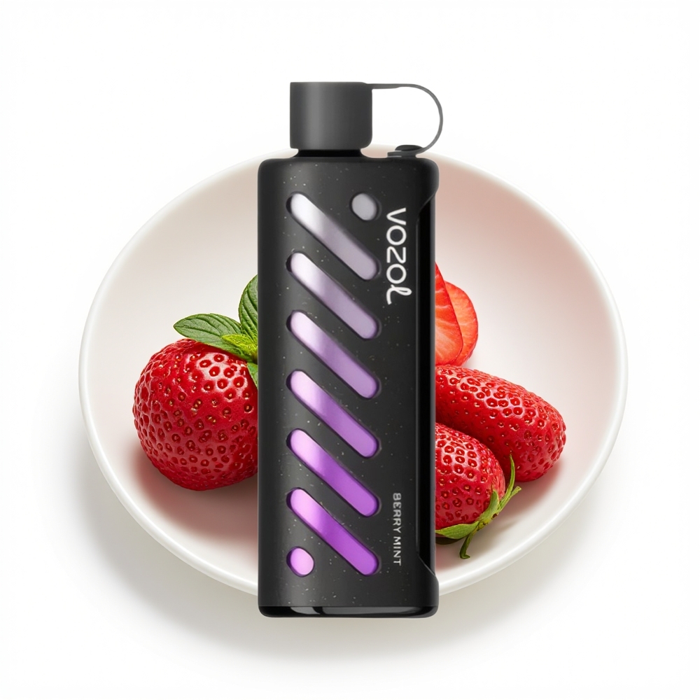VOZOL Gear Shisha 25000 Bærmynt Dual Mesh