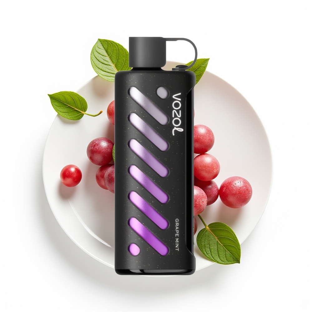 VOZOL Gear Shisha 25000 Drue Mynte Dual Mesh
