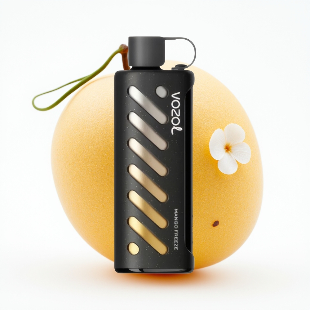 VOZOL Gear Shisha 25000 Mango Fryse Dual Mesh