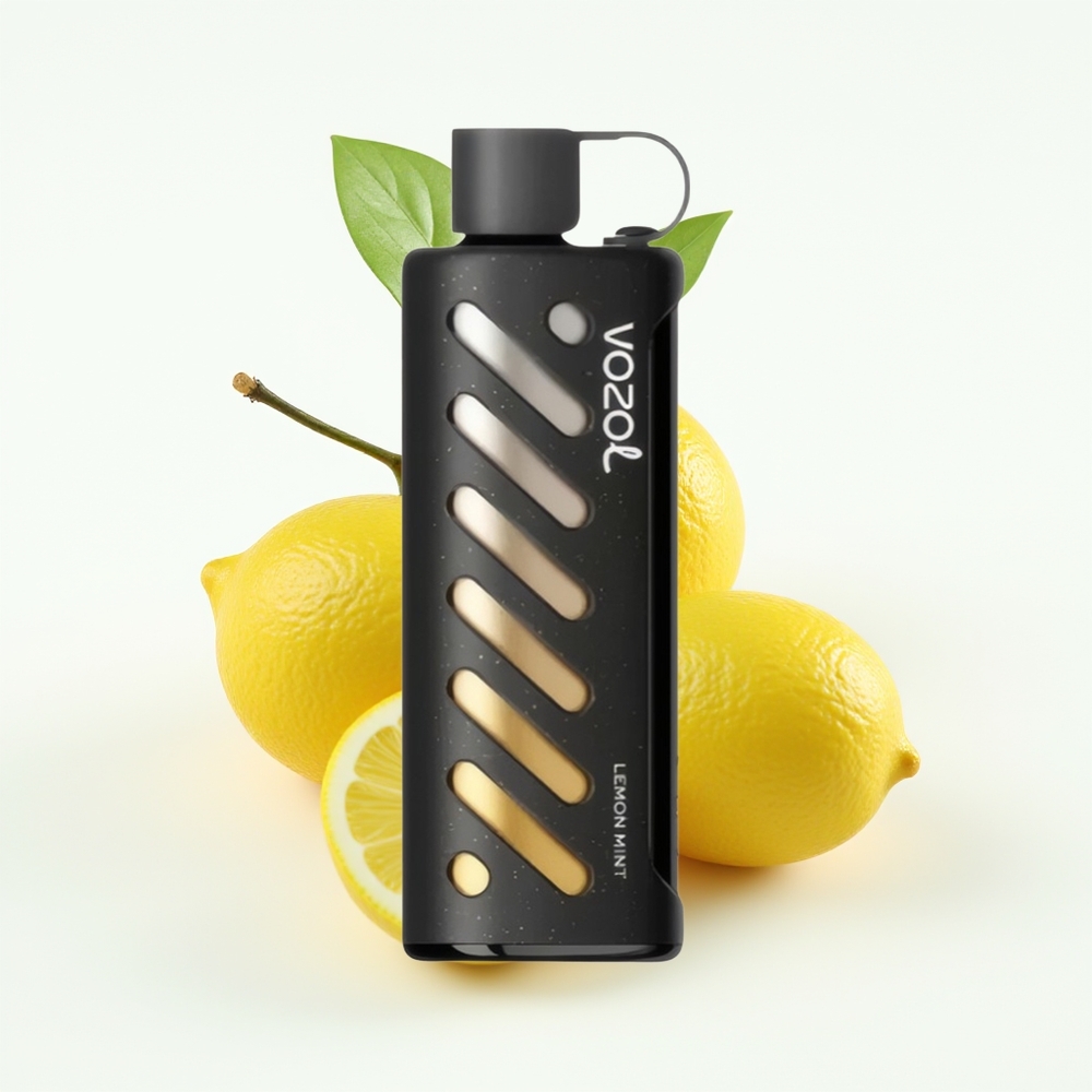 VOZOL Gear Shisha 25000 Sitron Mynte Dual Mesh