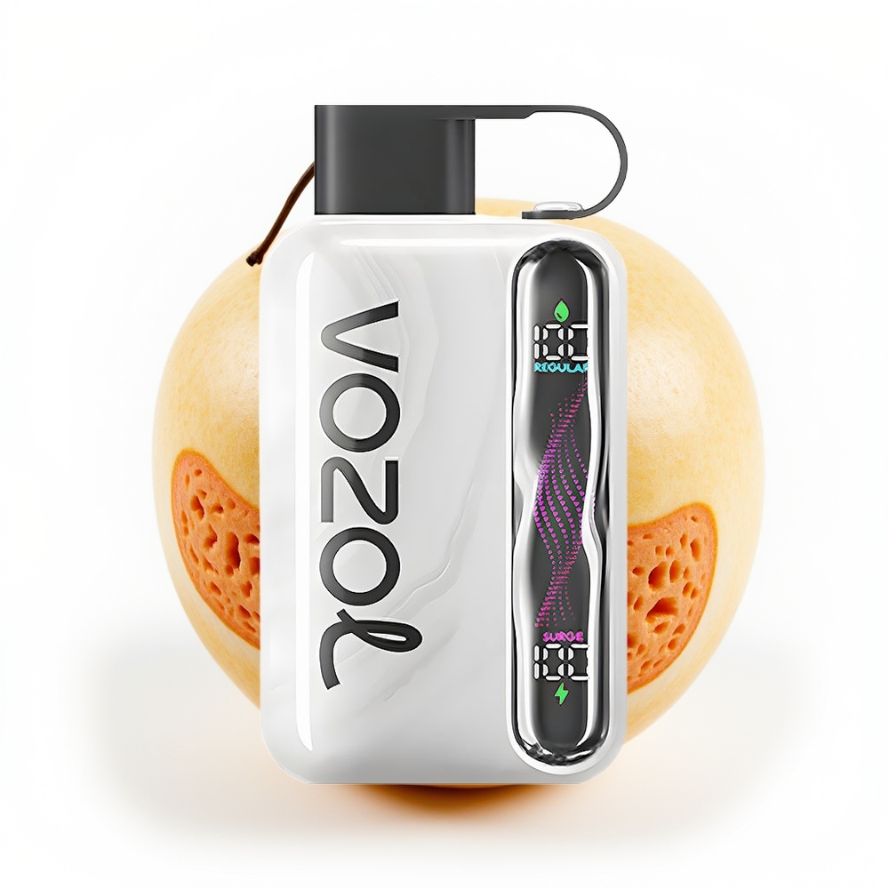 VOZOL STAR 40000 1000mAh TYPE-C