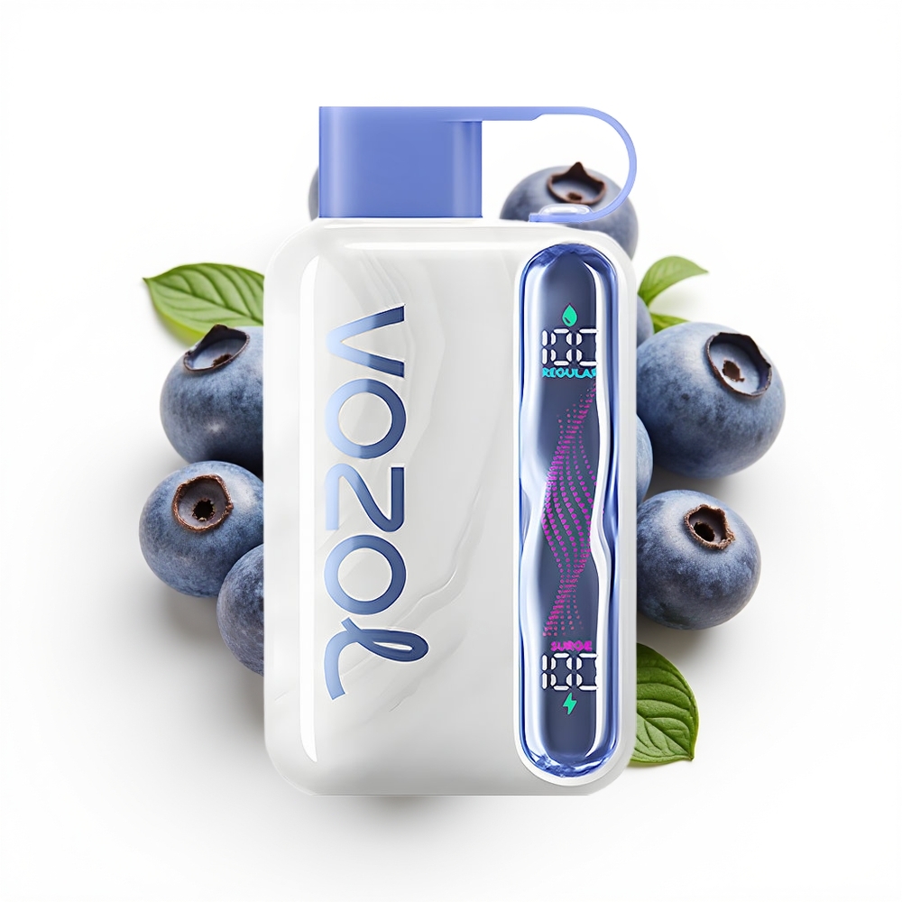VOZOL STAR 40000 Blåbærmynte 1000mAh Type-C