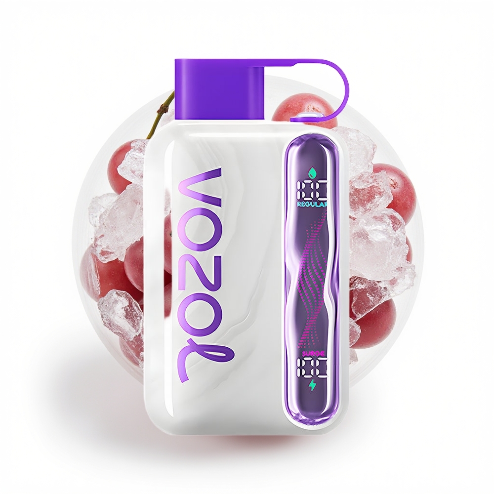 VOZOL STAR 40000 Drueis 1000mAh Type-C