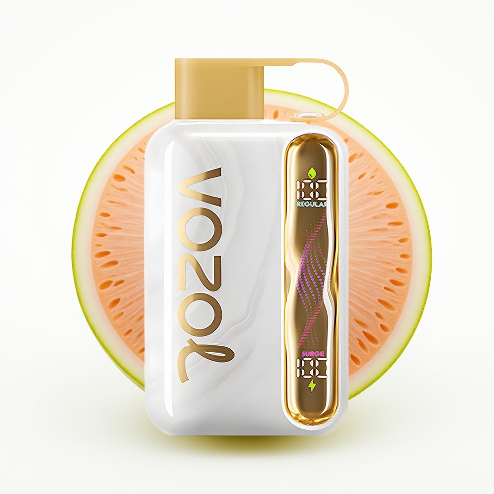 VOZOL STAR 40000 Melon Gum Type-C 1000mAh